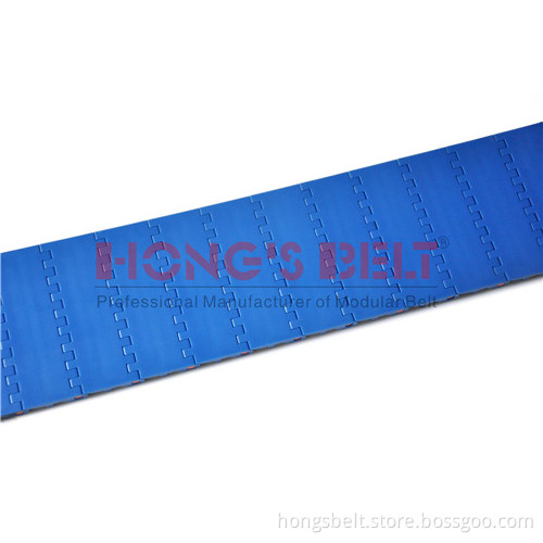 The Food Grade Modular Conveyor Belt (HS-100A-HD)